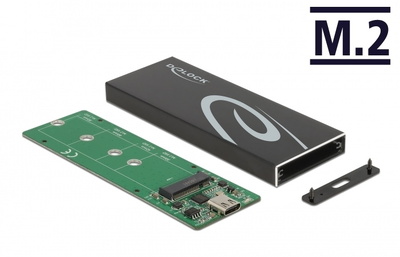 DELOCK θήκη για Μ.2 SATA SSD 42003, USB-C, 10Gbps, μαύρη