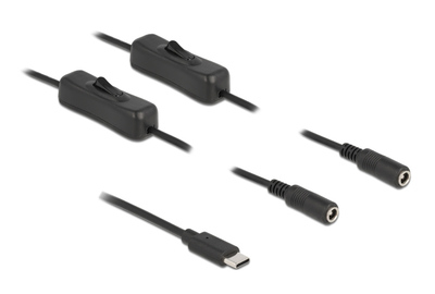 DELOCK καλώδιο USB Type-C σε 2x DC 5.5 x 2.1mm 86800, 1m, μαύρο