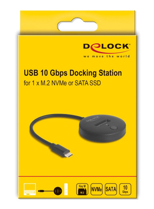 DELOCK docking station 64254 για M.2 NVMe/SATA SSD, 10Gbps, μαύρο